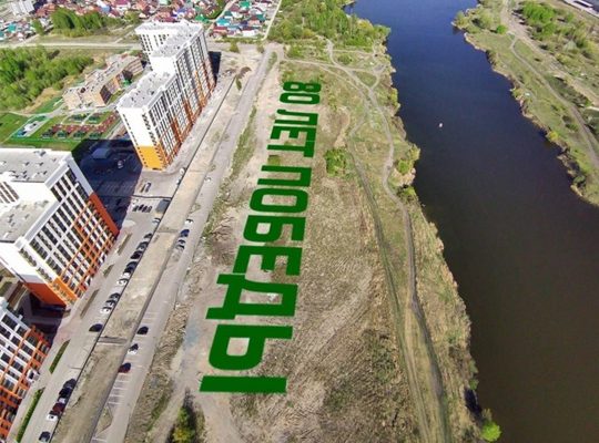 Высадка деревьев в Новосибирске