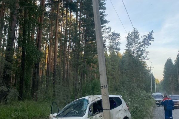 Авария под Новосибирском: легковушка разрушила опору ЛЭП