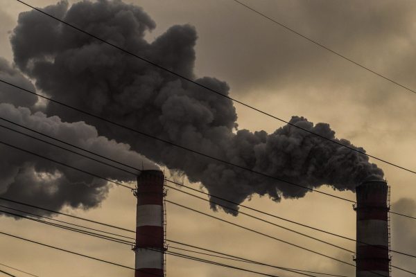 Экологический рейтинг Новосибирской области упал