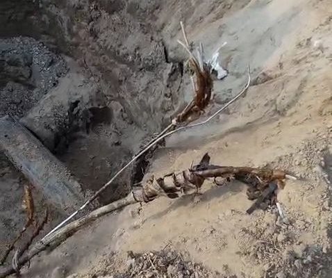 Отключение электричества в Новосибирске из-за ошибки рабочих