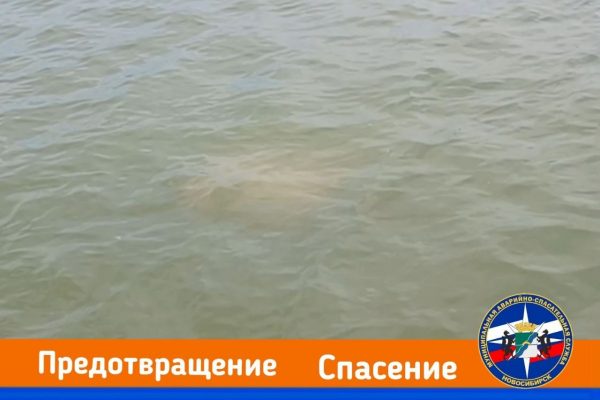 Трагедия на Бугринской косе