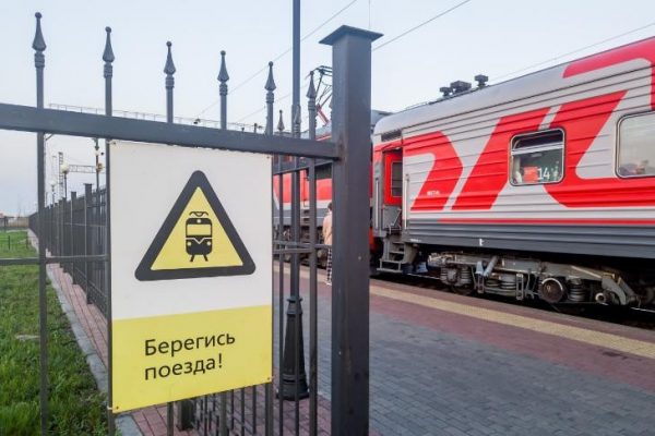 Смертельный инцидент с пенсионеркой в Краснозерском районе